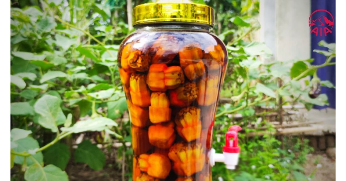 Tác dụng của của quả dứa dại ngâm rượu hỗ trợ nhiều bệnh lý