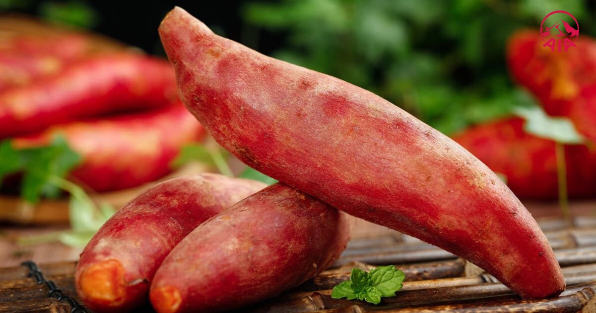 Thành phần chính của khoai lang là Carbs