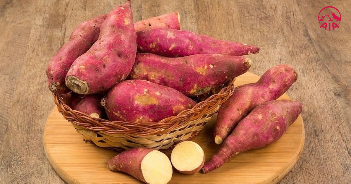 Khoai lang giúp kiểm soát đường huyết ở mức ổn định