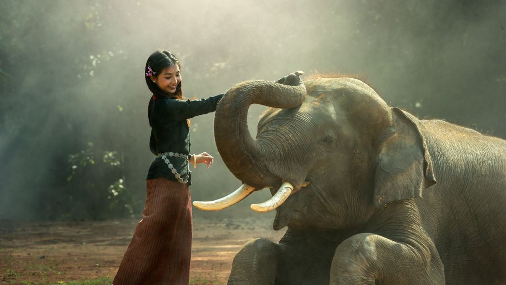 Ý nghĩa của tình yêu thương trong cuộc sống con người | AIA Vietnam