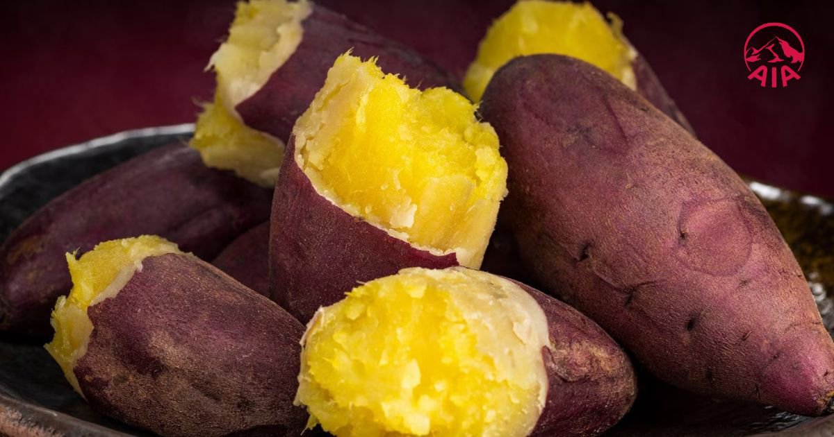 Ăn vỏ khoai lang cả vỏ hỗ trợ phòng chống bệnh ung thư