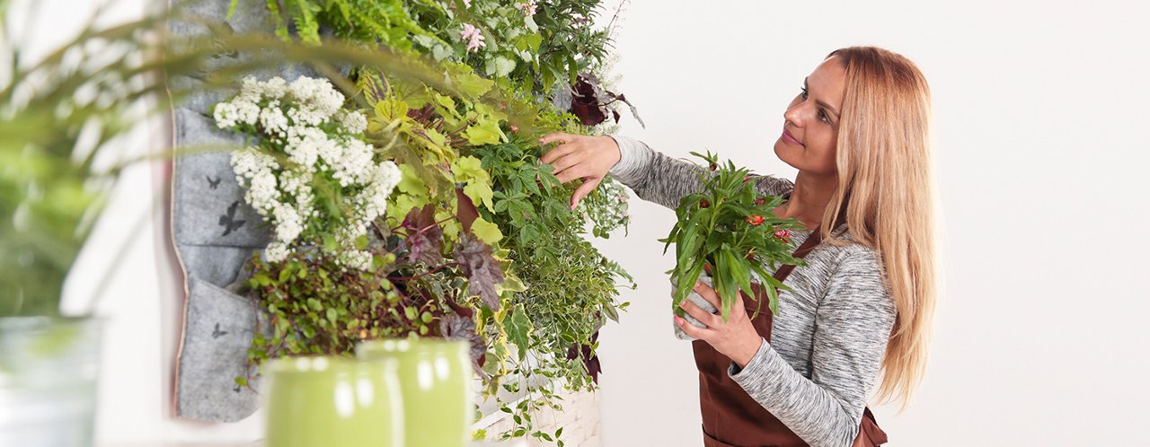 women touching plants