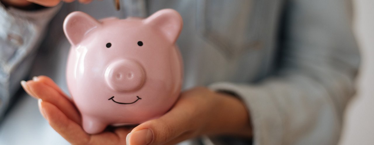 a person holding a piggy bank