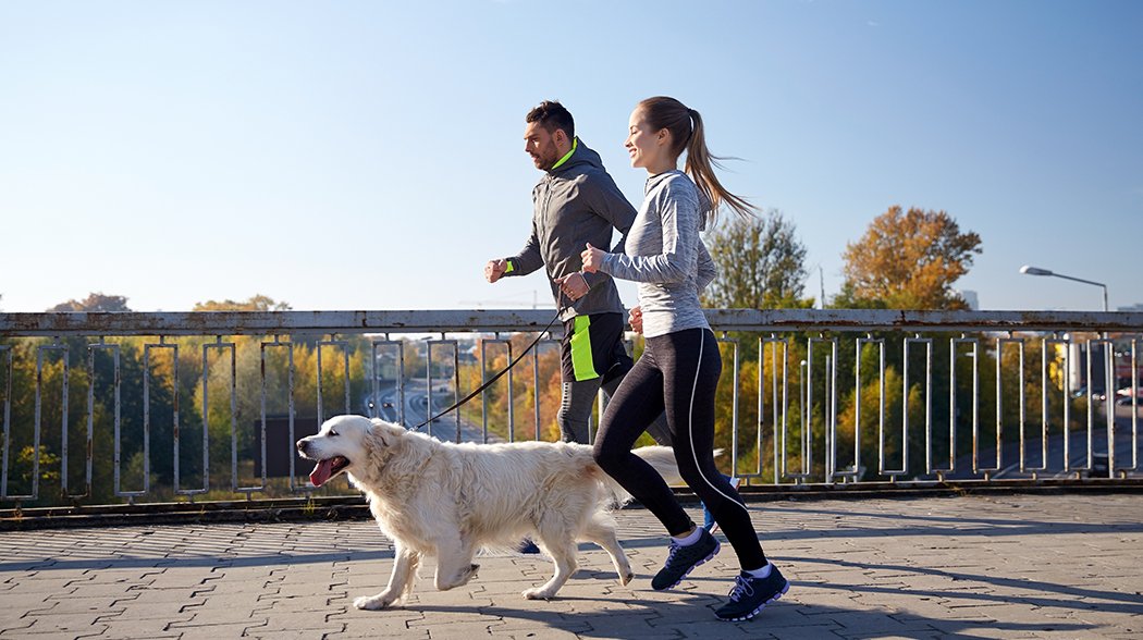 couple running with their dog