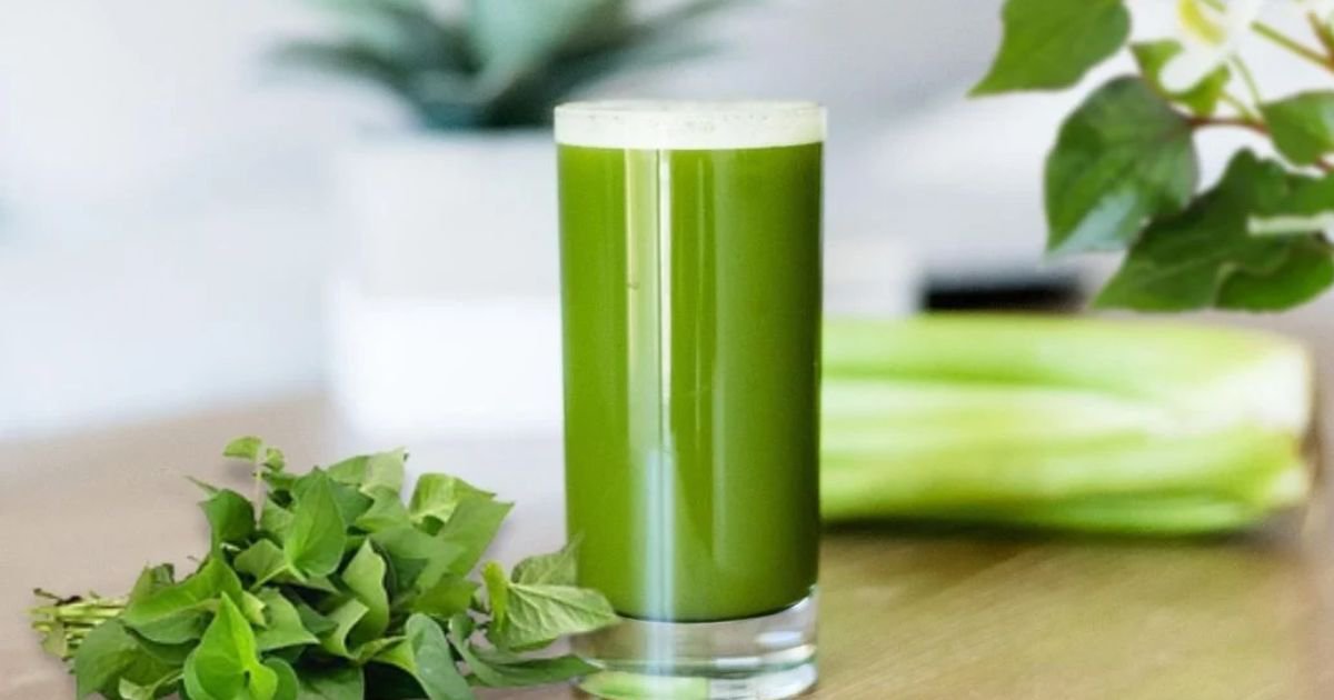 Nên uống rau diếp cá vào lúc nào trong ngày