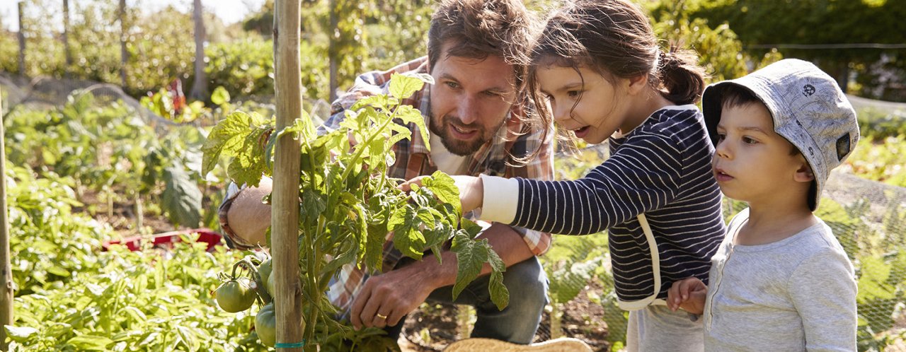 dad and kids looking plant