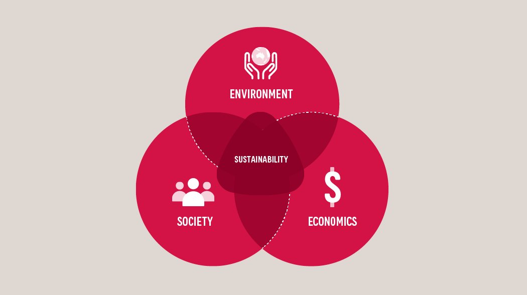 sustainability infographic