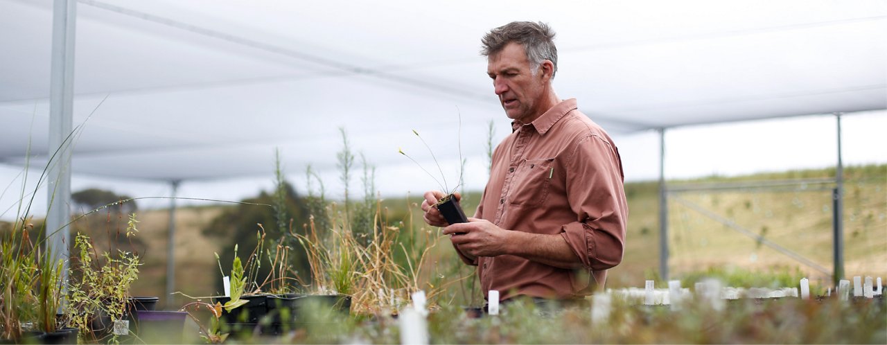 man with plants in hands