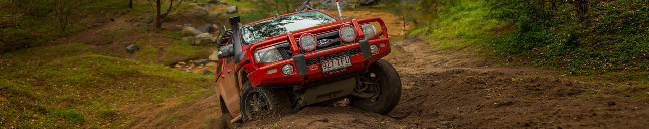 banner-image