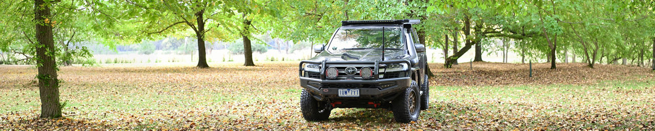 banner-image