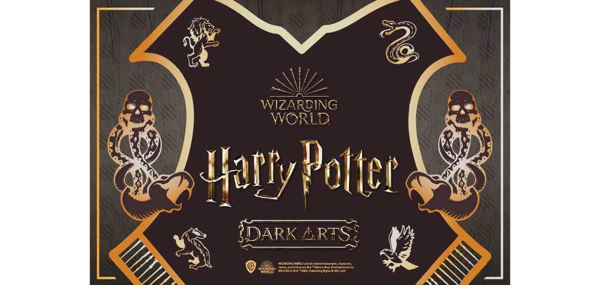 Harry Potter | BIG W