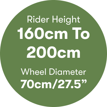 Bike size for online 160cm