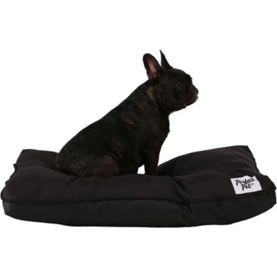 Large Size 2 Way Lockable Pet Dog Cat Safe Security Brushy Flap Door Black