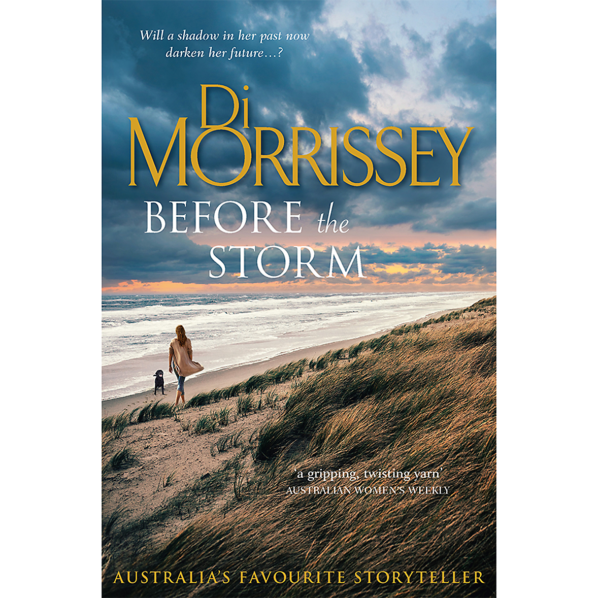 Before the Storm by Di Morrissey