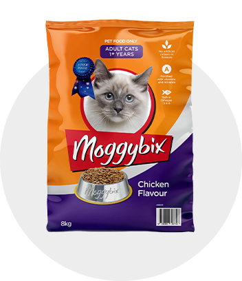 Big y hotsell cat food