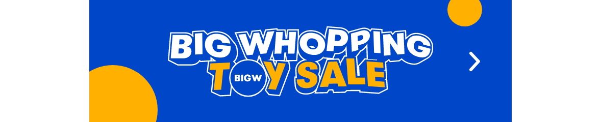 Toy sale big w store