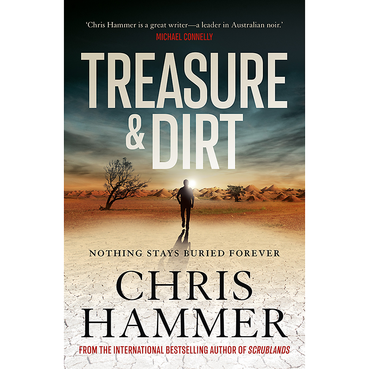 Treasure and Dirt by Chris Hammer