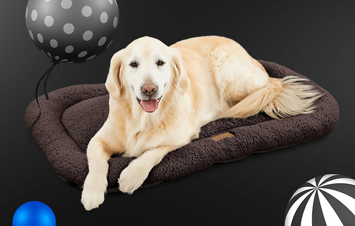 Best deals for your furry friends.