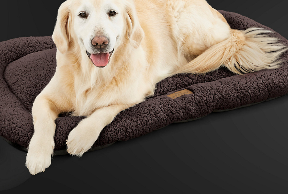 Best deals for your furry friends.