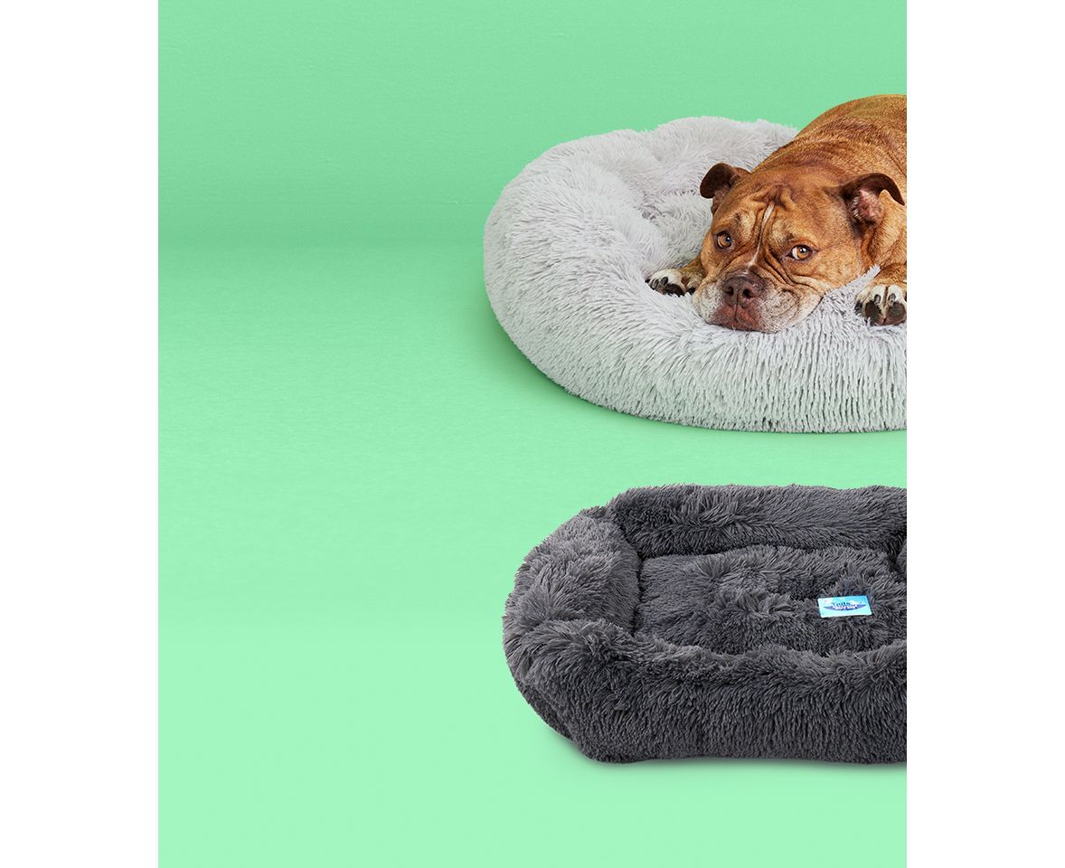 Pet Food, Pet Care & Accessories BIG W