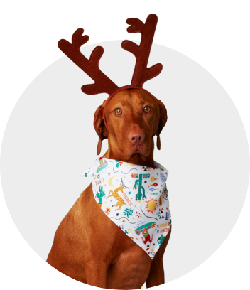 Christmas costumes for big clearance dogs