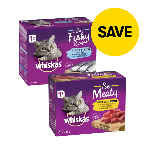 Pet Food, Care & Accessories BIG W
