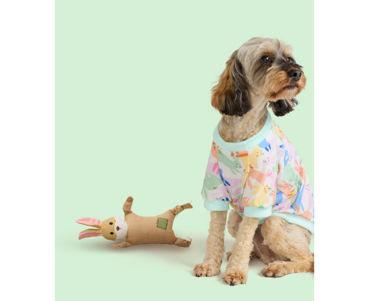 Dog jumper big hot sale w