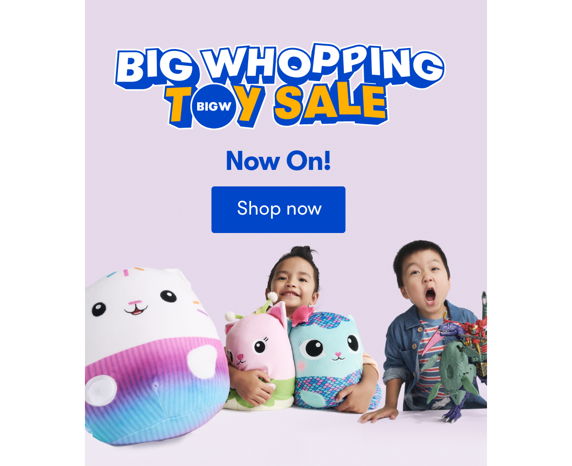 Toys | BIG W