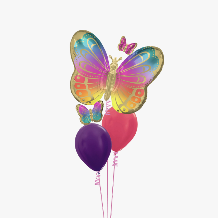 BIG W's Balloon & Party Service BIG W