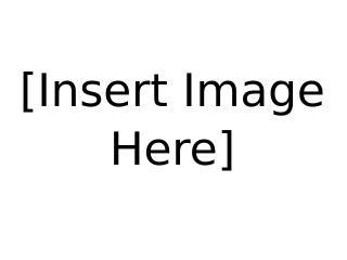 Add text here