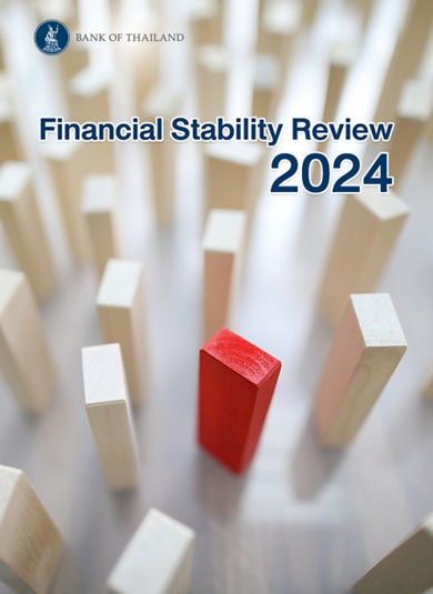 Financial Stability Review 2024