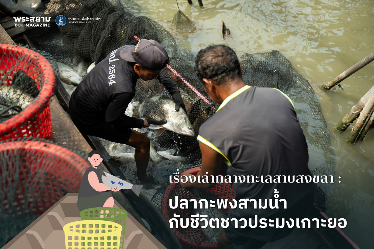 sea bass community enterprise