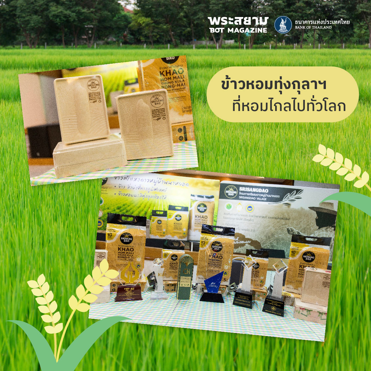 srisaengdao rice mill