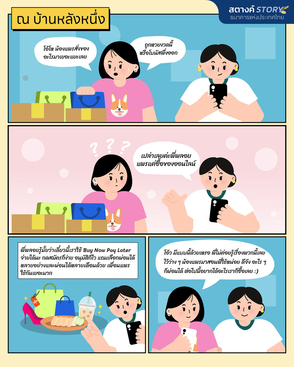 ฺBNPL situation