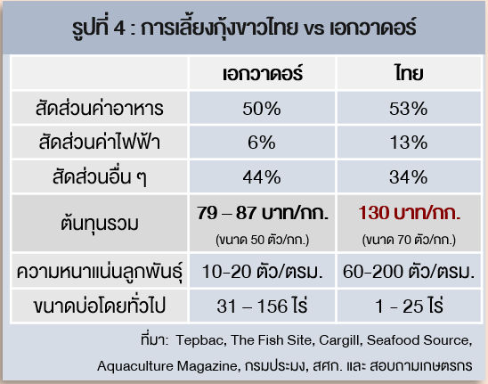 เปรียบเทียบการเลี้ยงกุ้งไทยและเอกวากอร์