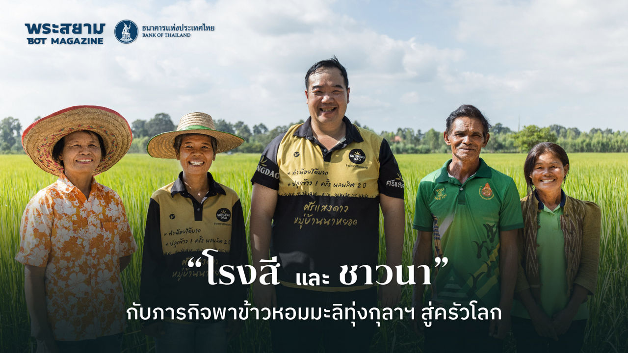 ปกคลิป เกาะยอ