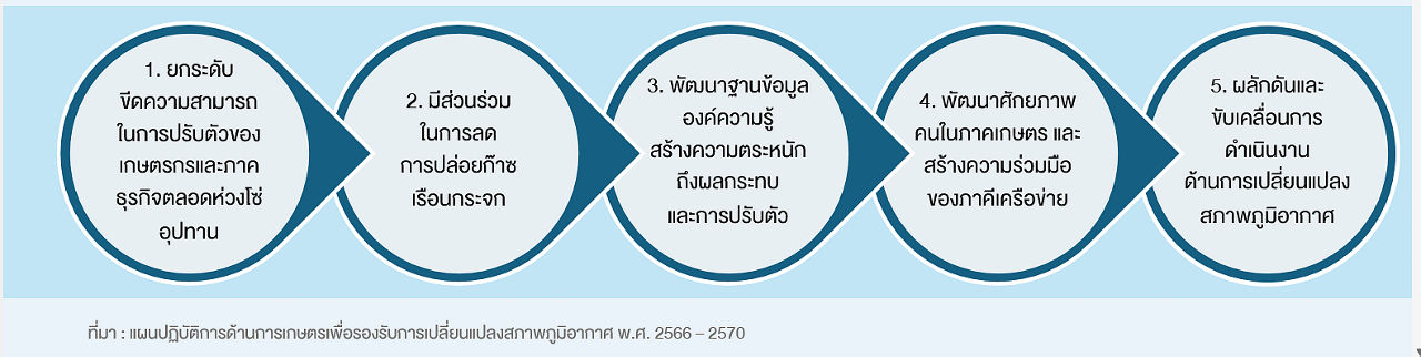 carboncredit-4