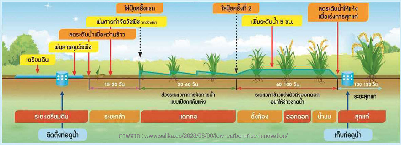 carboncredit-7