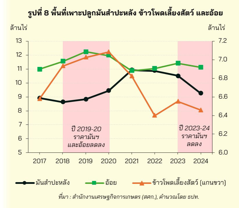 รูปที่ 8 พื้นที่เพาะปลูกมันสำปะหลัง ข้าวโพดเลี้ยงสัตว์ และอ้อย