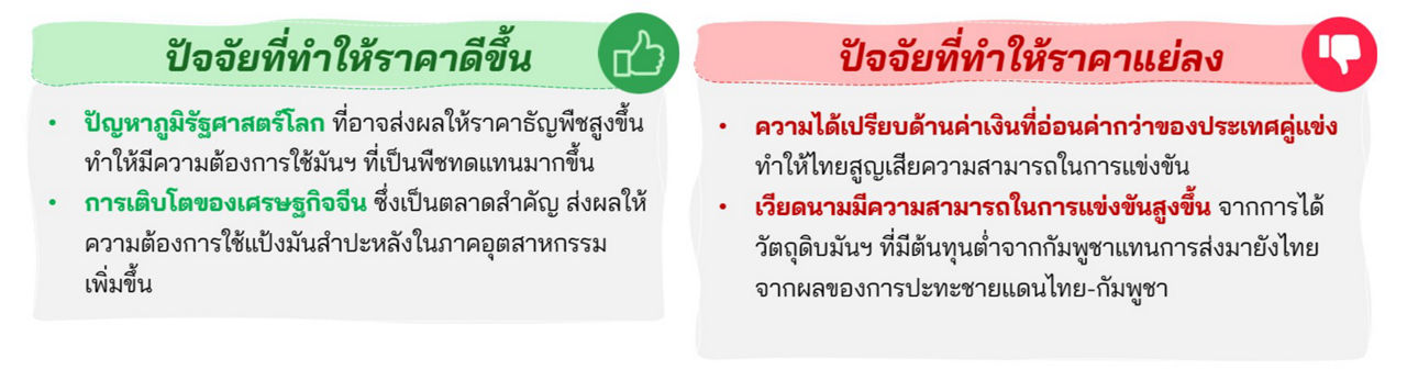 ปัจจัยที่ทำให้ราคามันฯ ดีขึ้น-แย่ลง