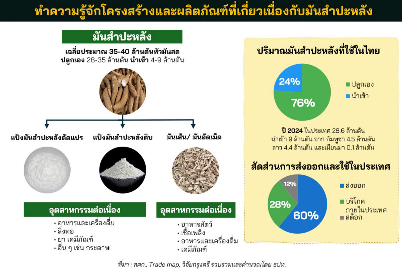 ทำความรู้จักโครงสร้างและผลิตภัณฑ์ที่เกี่ยวเนื่องกับมันสำปะหลัง