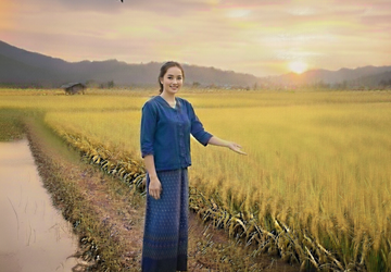 บทความ