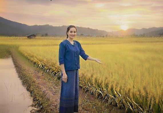 บทความ