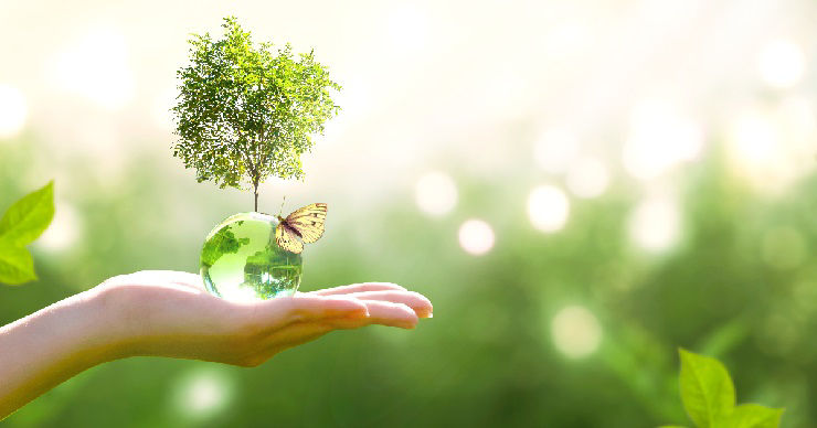 Earth crystal glass globe ball and growing tree in human hand, flying yellow butterfly on green sunny background. Saving environment, save clean planet, ecology concept. Card for World Earth Day.