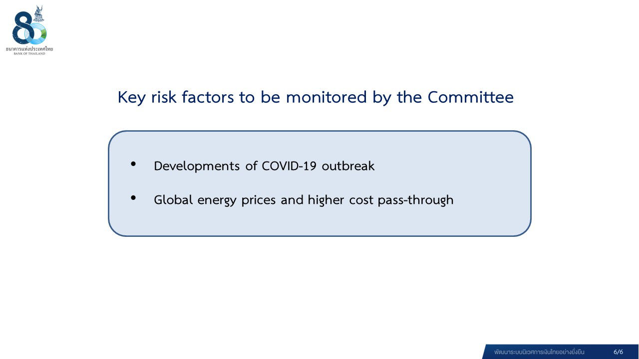 Key risk factors to be monitored by the Committee