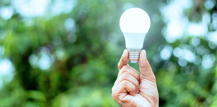 Hand holding a lightbulb