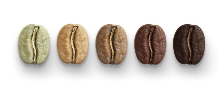Five beans displayed from light to dark 