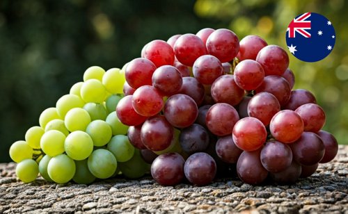 Australia Seedless Grape