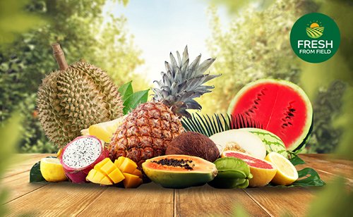 Welcome Summer with Tropical Fruits You Must Try