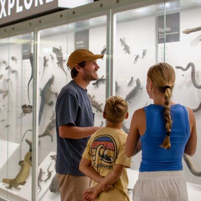 Queensland’s Real Life Bluey Locations | Queensland